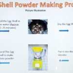 Egg Shell Powder