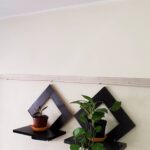 unique wall shelves for indoor plants